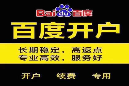 案例分析：百度广告竞价助力电商企业提升销售额